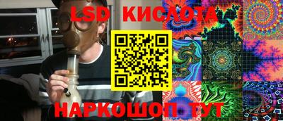 крисы Краснодар