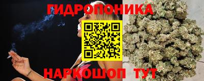 крисы Краснодар