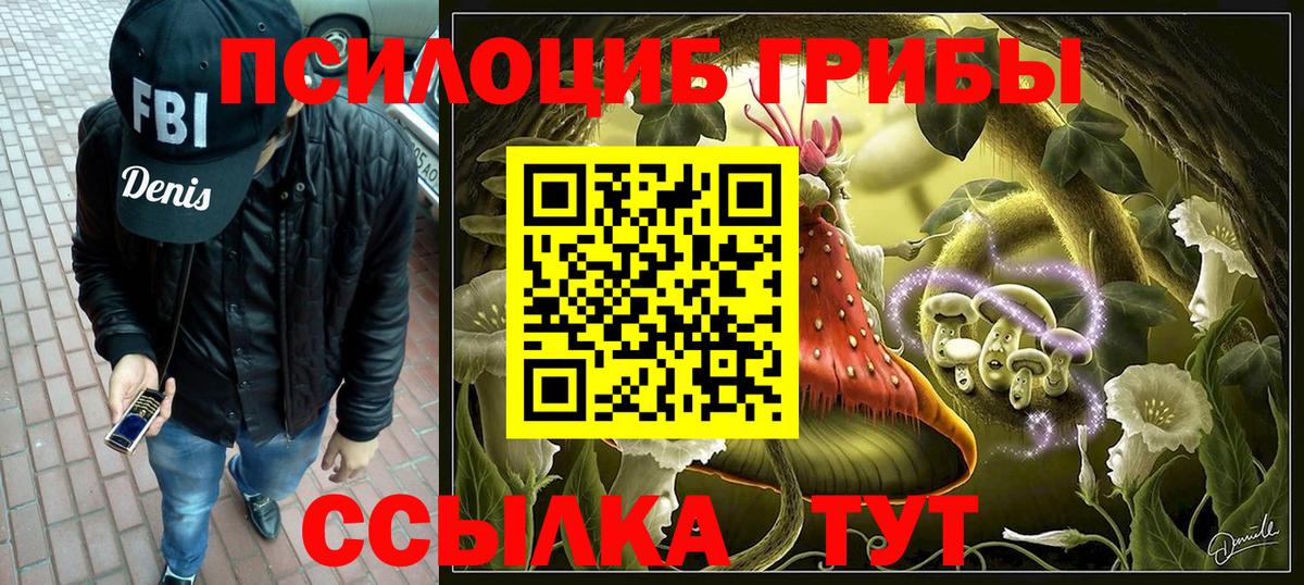 Удомля  Галлюциногенные грибы мицелий  Вход с VPN 