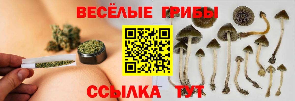 Галлюциногенные грибы GOLDEN TEACHER Удомля